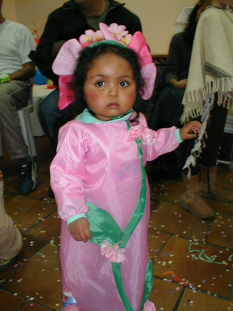 Photos